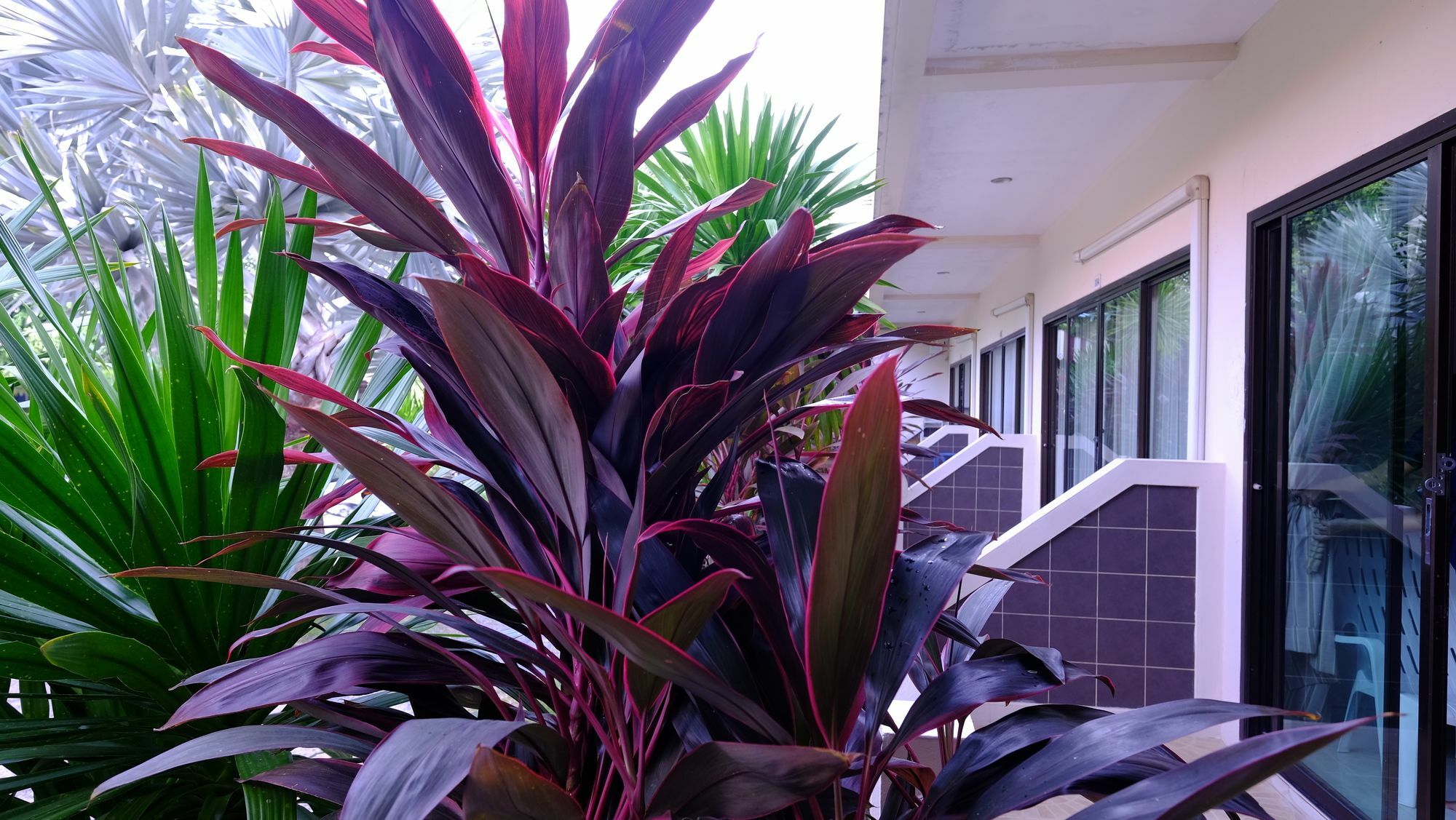 לאמאי ביץ' Samui Guest House מראה חיצוני תמונה